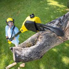 Best Lawn Watering Services  in Streator, IL