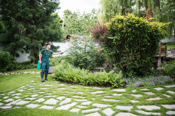 Best Tree and Shrub Care  in Streator, IL